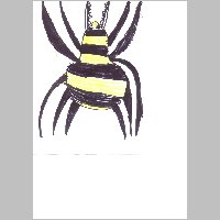 tarantula.html